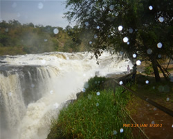 Birding Uganda safaris