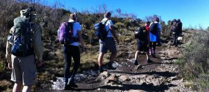 Mountaineering Safaris Kenya