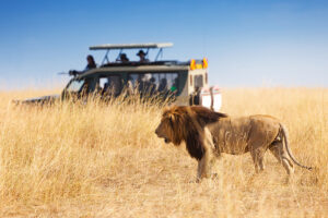 game drive at Amboseli National Park 