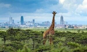 Nairobi National Park