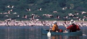 canoeing at Arusha National Park