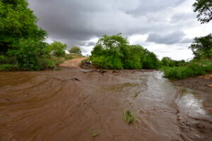 Roads during rainy season - African vacation