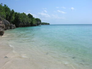 Zanzibar beach in Tanzania